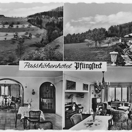 Apartment Haus Pflingsteck Nahe Europa Park Rulantica Freiamt ภายนอก รูปภาพ