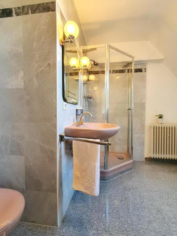 Apartment Haus Pflingsteck Nahe Europa Park Rulantica Freiamt ภายนอก รูปภาพ